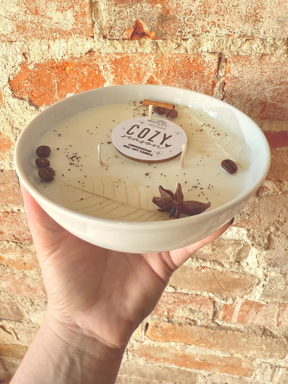 Cozy Season (Gingerbread) Soy Candle