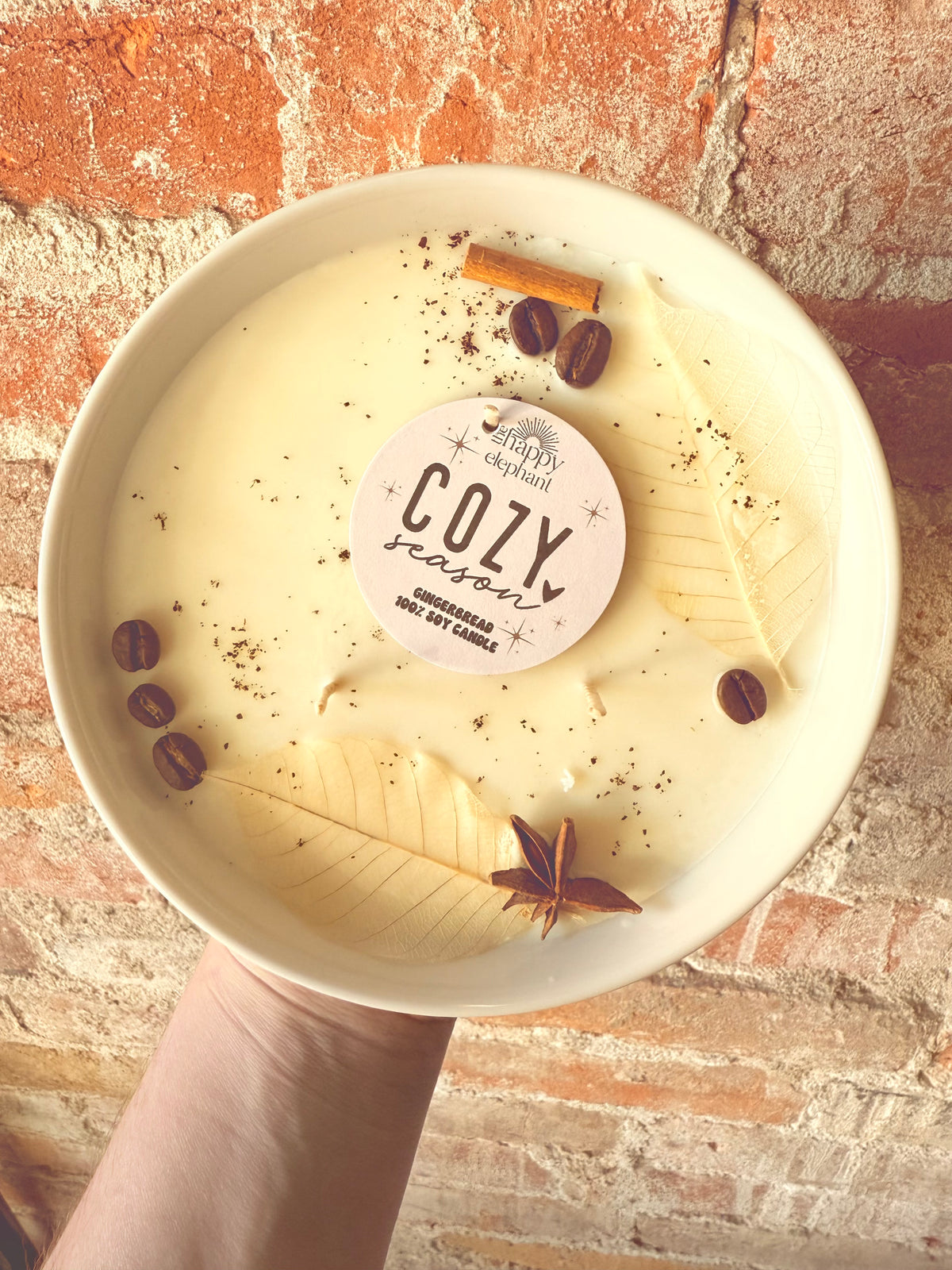 Cozy Season (Gingerbread) Soy Candle