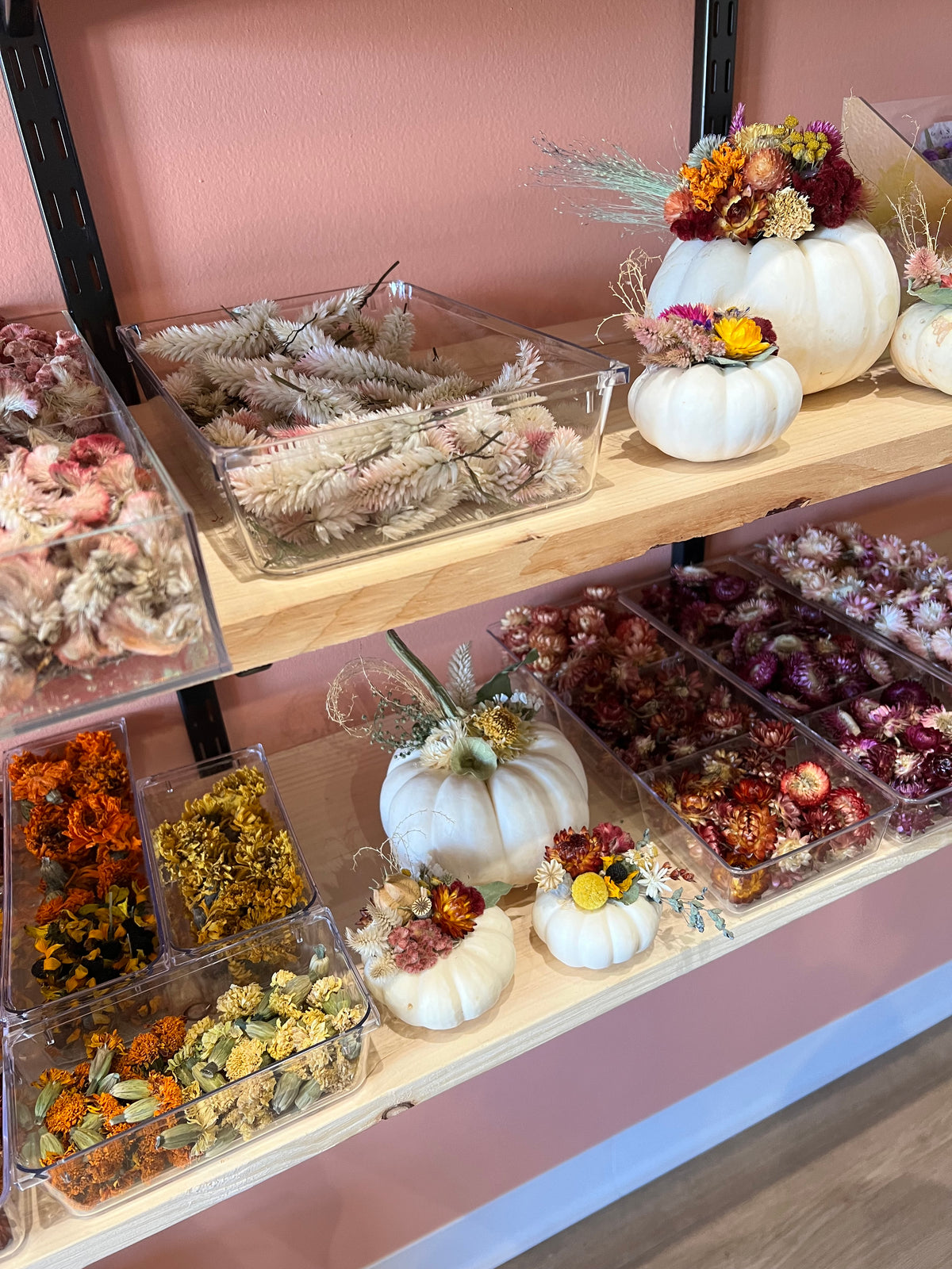 CANDLE MAKING + DRIED FLORAL PUMPKIN EVENT